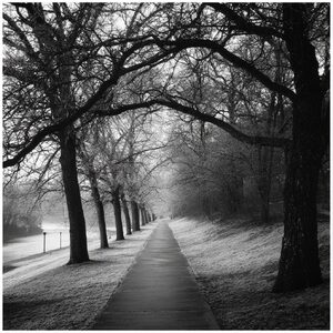 The Path To Home. . .