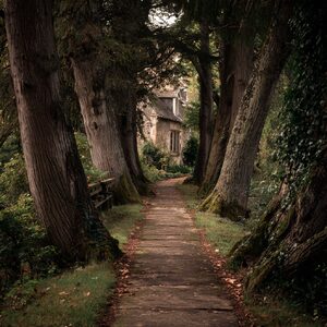 The Path To Home. . .