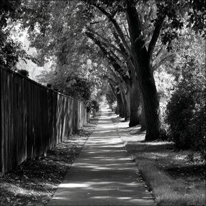 The Path To Home. . .