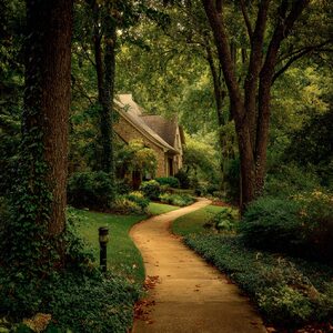 The Path To Home. . .