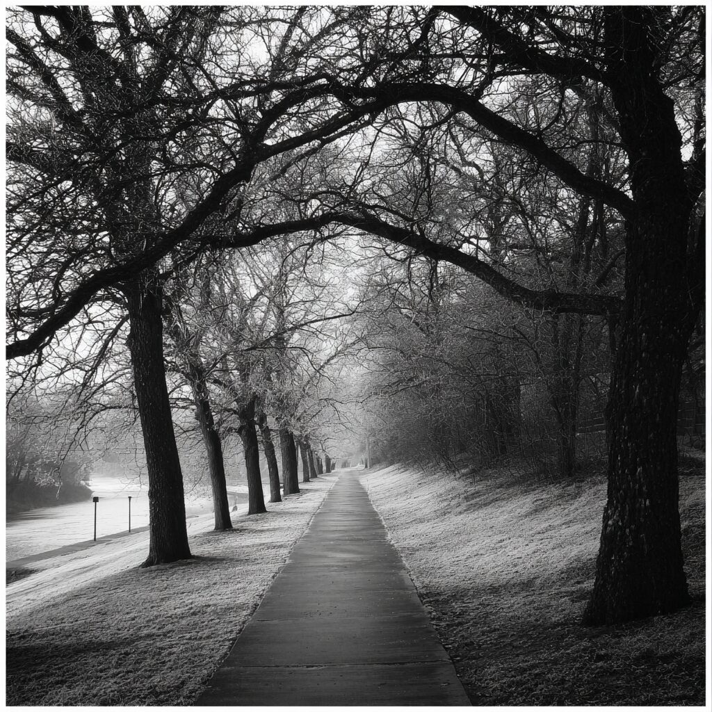 The Path To Home. . .