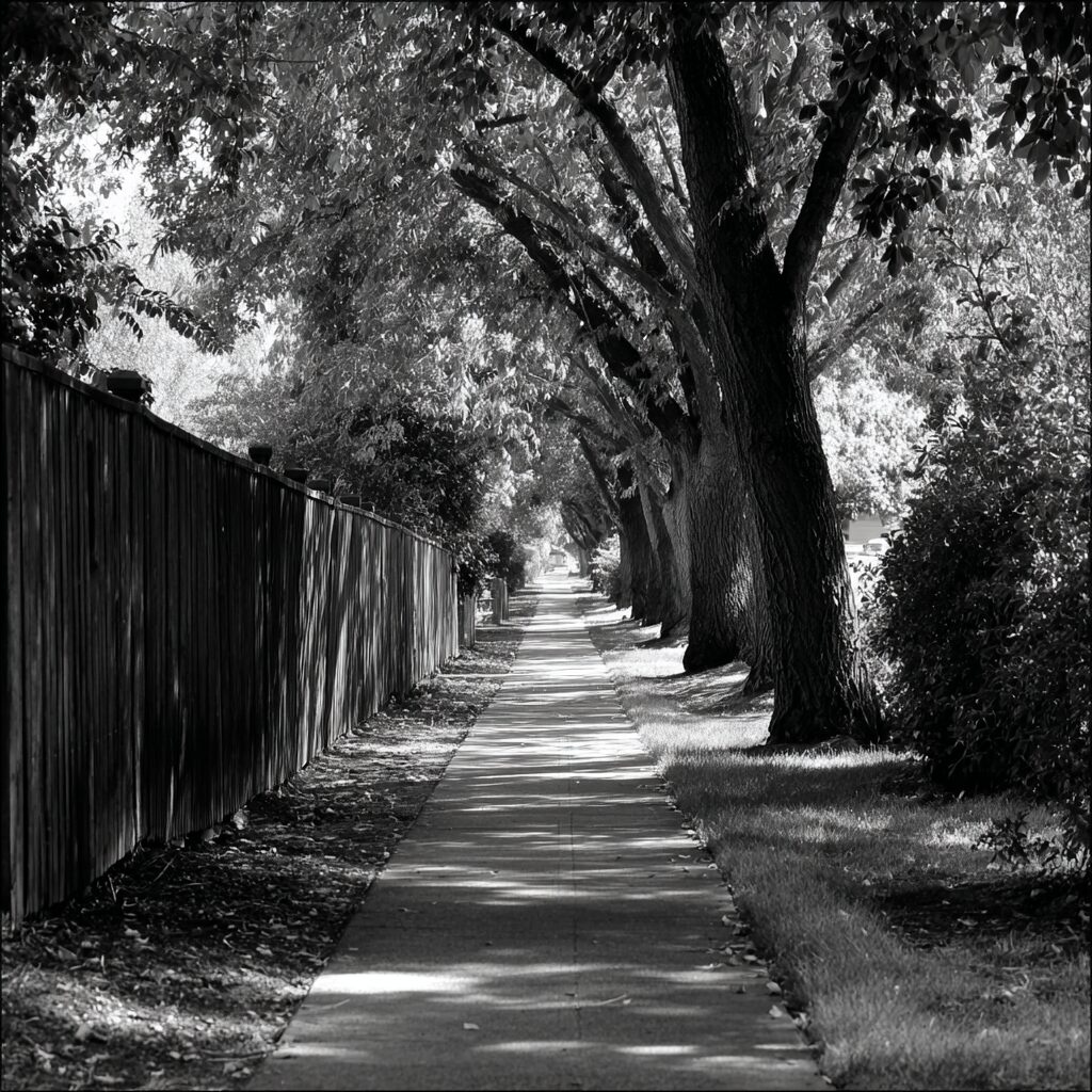 The Path To Home. . .